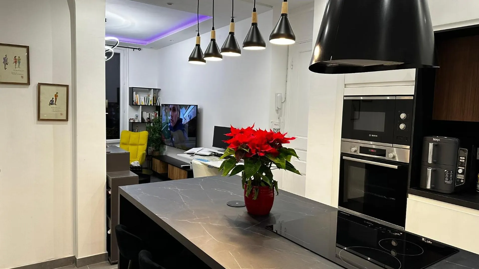 Chic Renovated 2 Bedroom Entire Apartment Or Only Private Rooms In Liberation In Nice With Garage On Demand, Ac, Wi-Fi And Tram Access